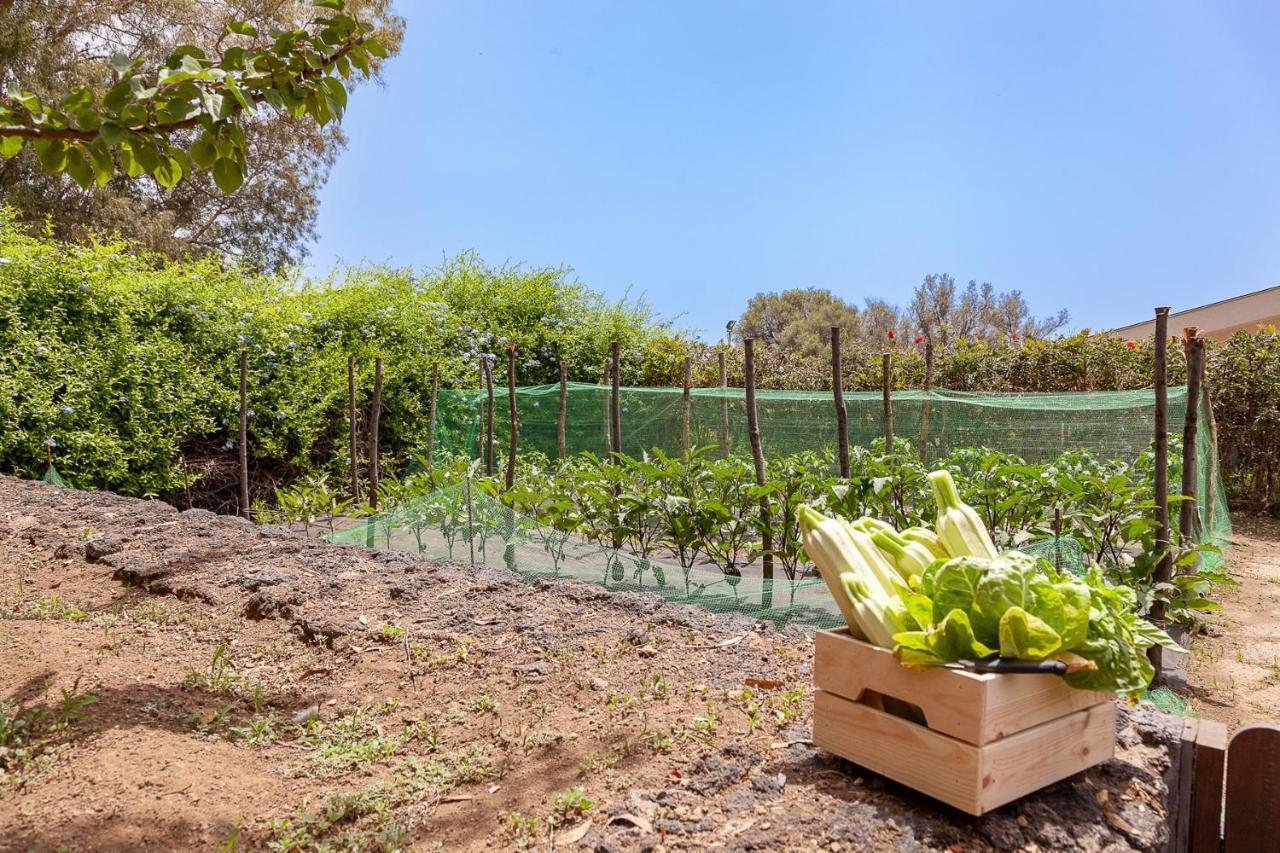 אצ'י קסטלו Casa Nanitta Maison De Charme מראה חיצוני תמונה