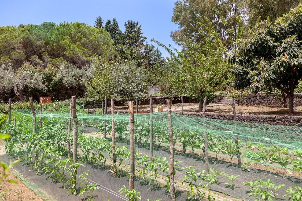 אצ'י קסטלו Casa Nanitta Maison De Charme מראה חיצוני תמונה